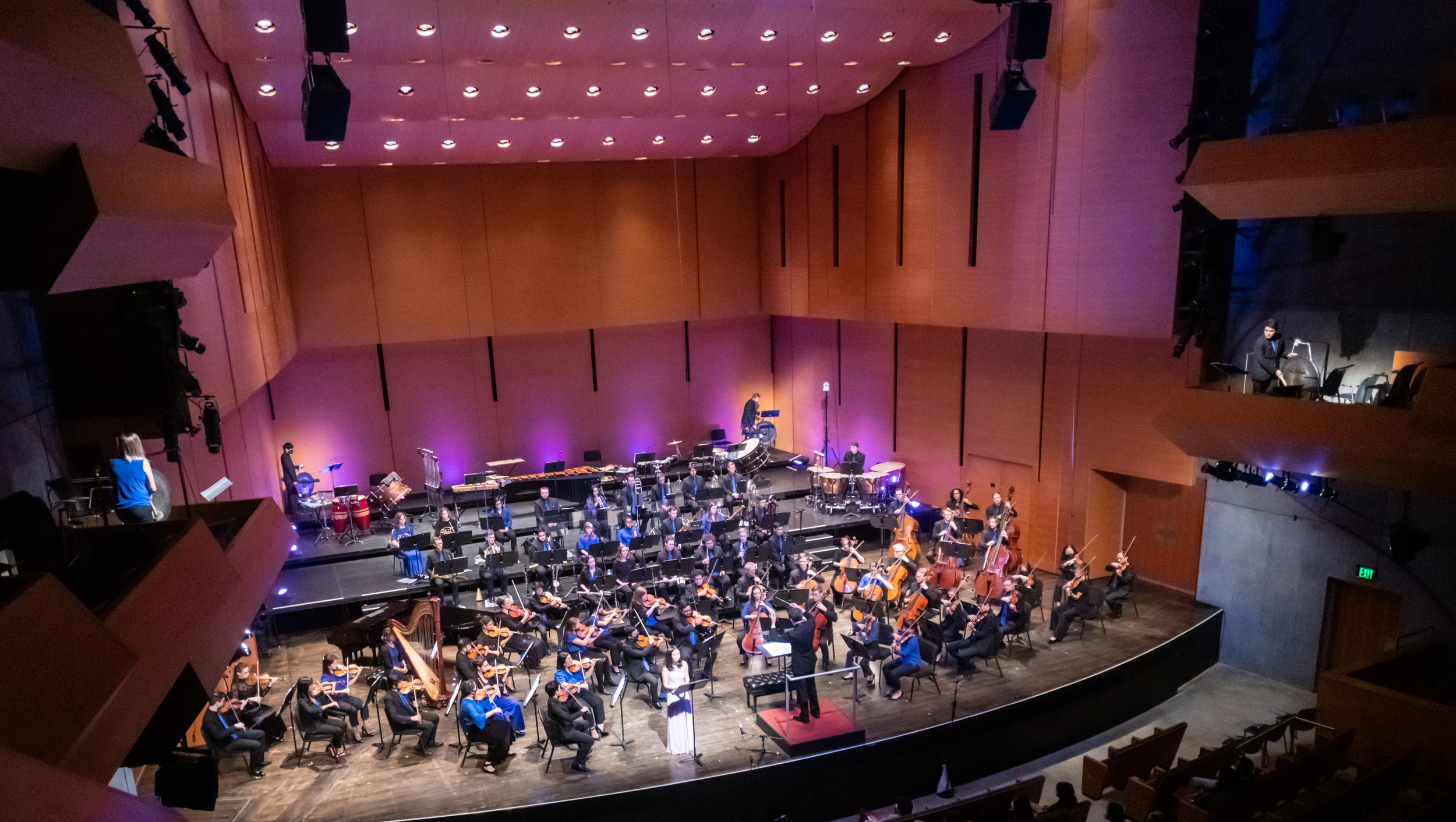 音楽療法 MUSIC AS THE BRIDGE The Sound of Music - Deluxe Edition (2-CD) – Varèse Sarabande